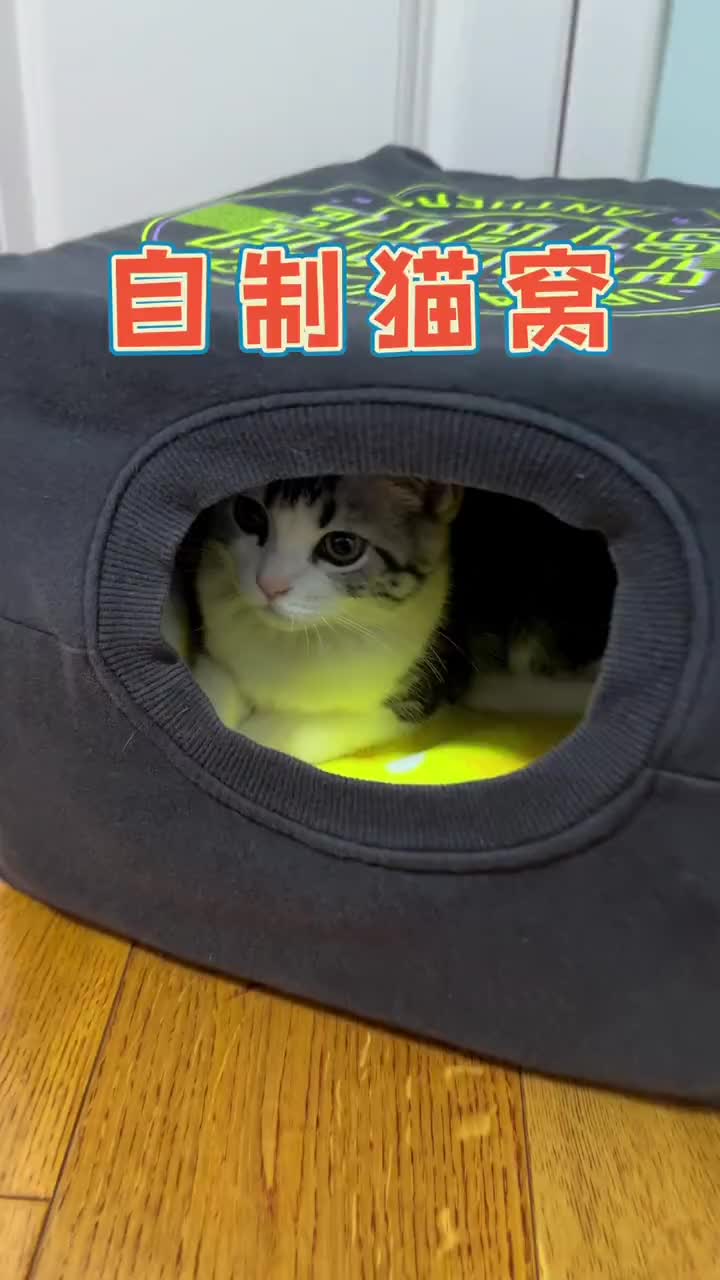 自制猫窝家里有纸箱的都可以做哔哩哔哩bilibili