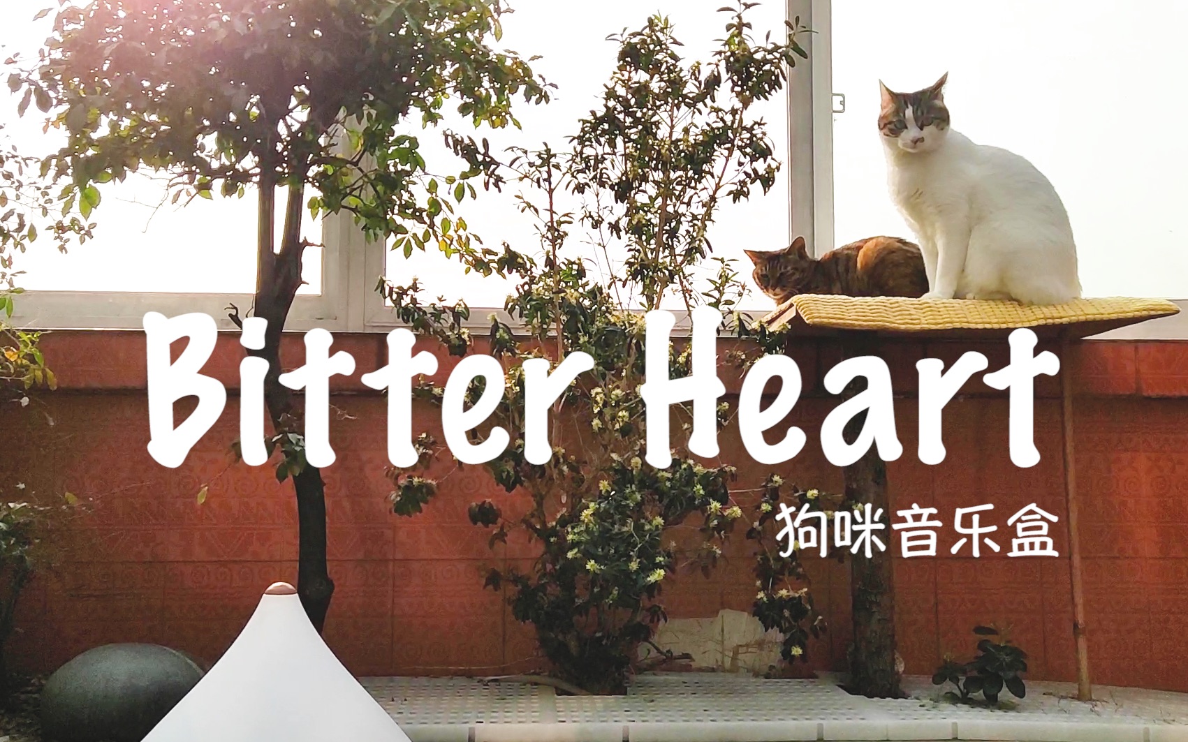 [图]【吉他弹唱】Bitter Heart 用俏皮的调调讲糟心的事儿～