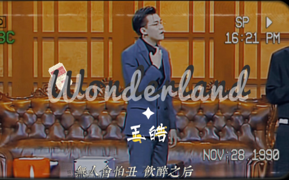 【演员王皓】Wonderland | 迷人反派 斯文败类哔哩哔哩bilibili