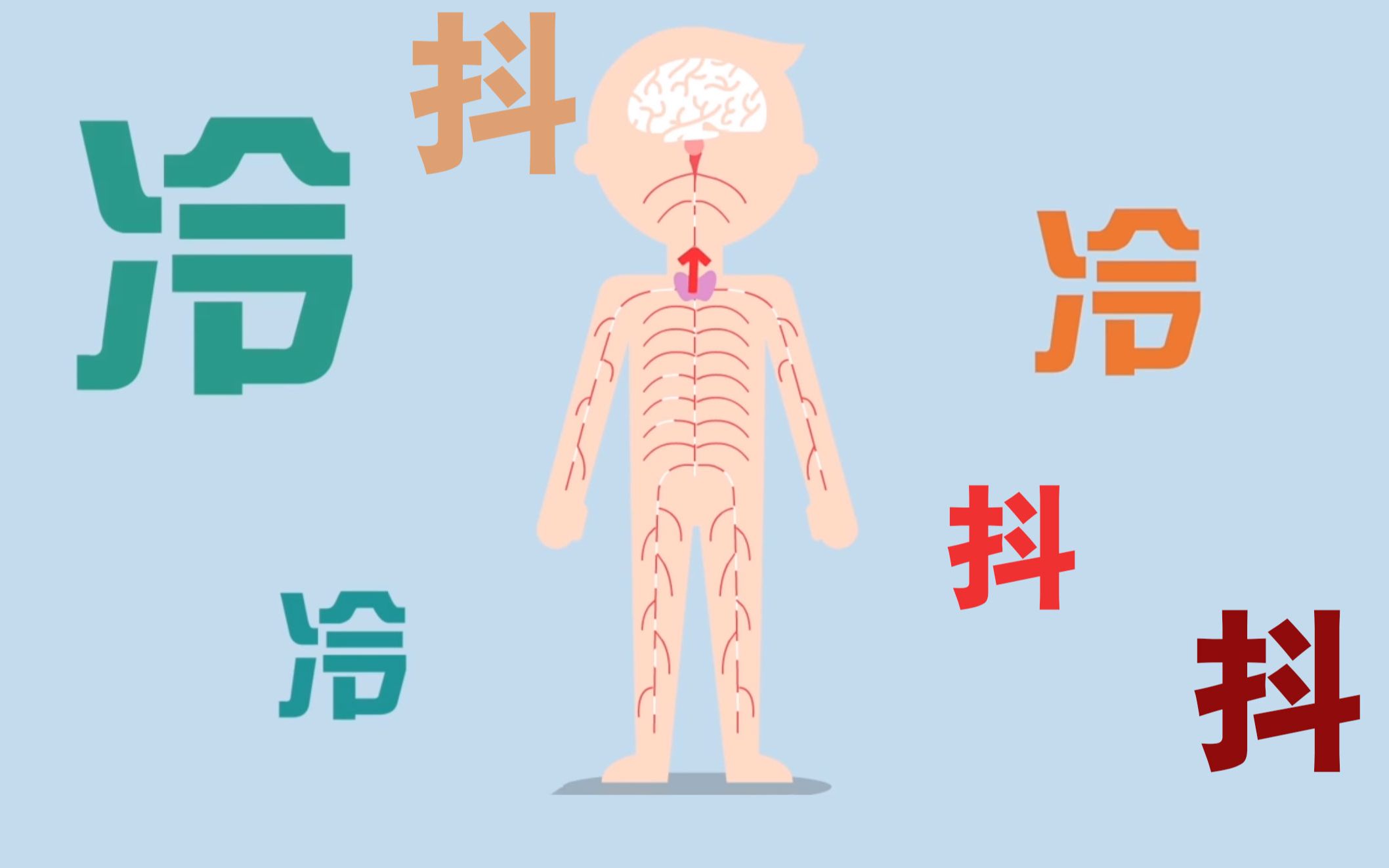 冷到发抖?人为何会“打寒颤”?哔哩哔哩bilibili