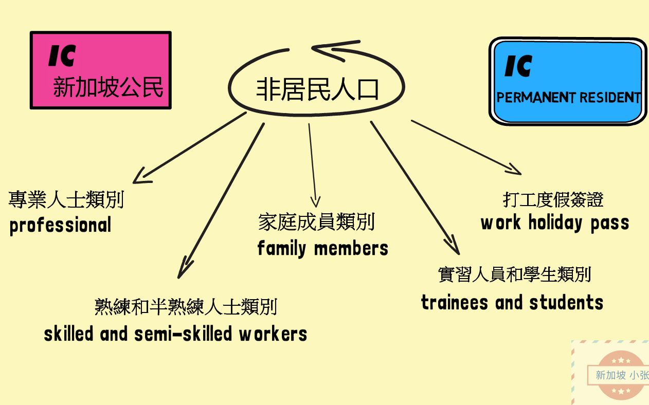 新加坡签证类型哔哩哔哩bilibili