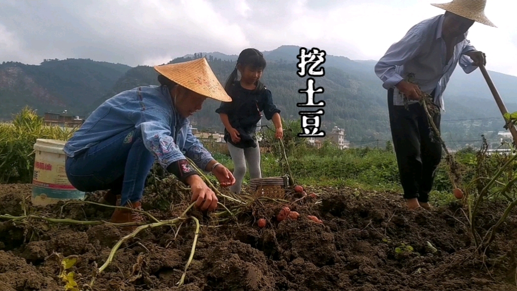 秋天的土豆是很难得的时令菜,今天吃没有米汤的米汤洋芋哔哩哔哩bilibili