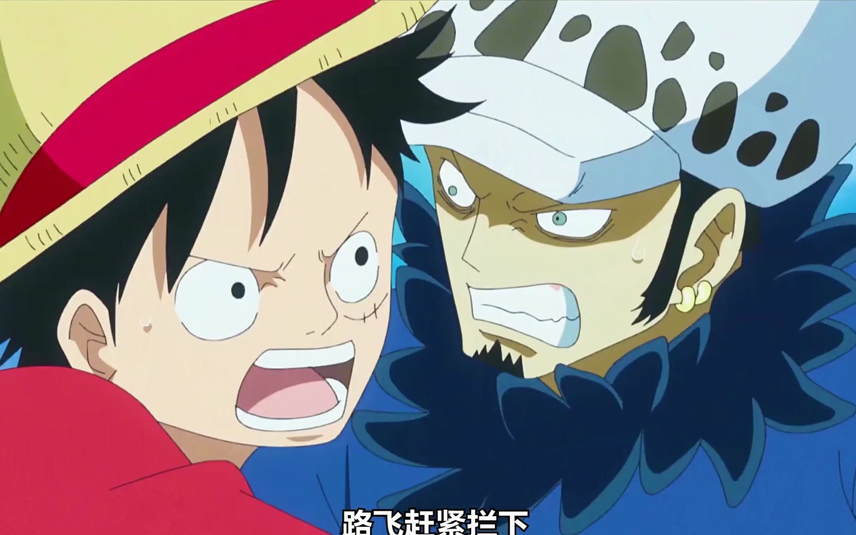 路飞和罗最不想让人知道的经历路飞偶遇大弟子功夫小海牛