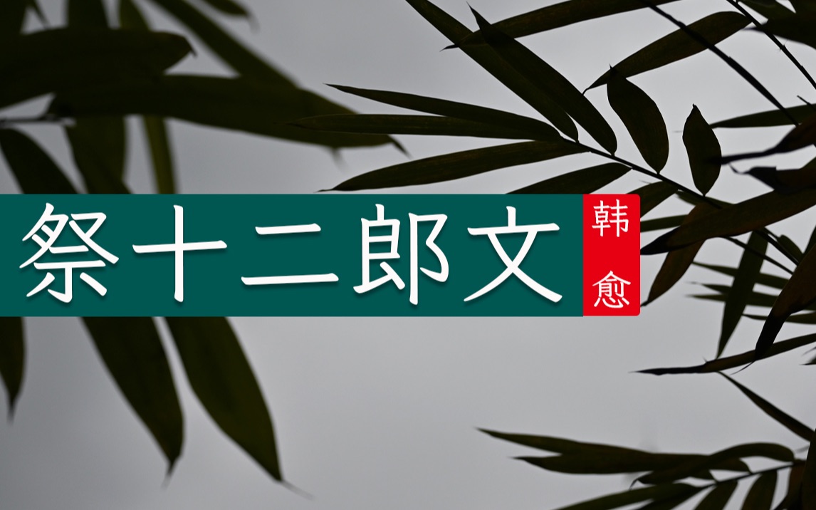 韩愈《祭十二郎文》字字洒泪于无声律处见深情哔哩哔哩bilibili