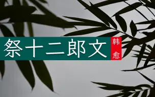 下载视频: 韩愈《祭十二郎文》字字洒泪于无声律处见深情