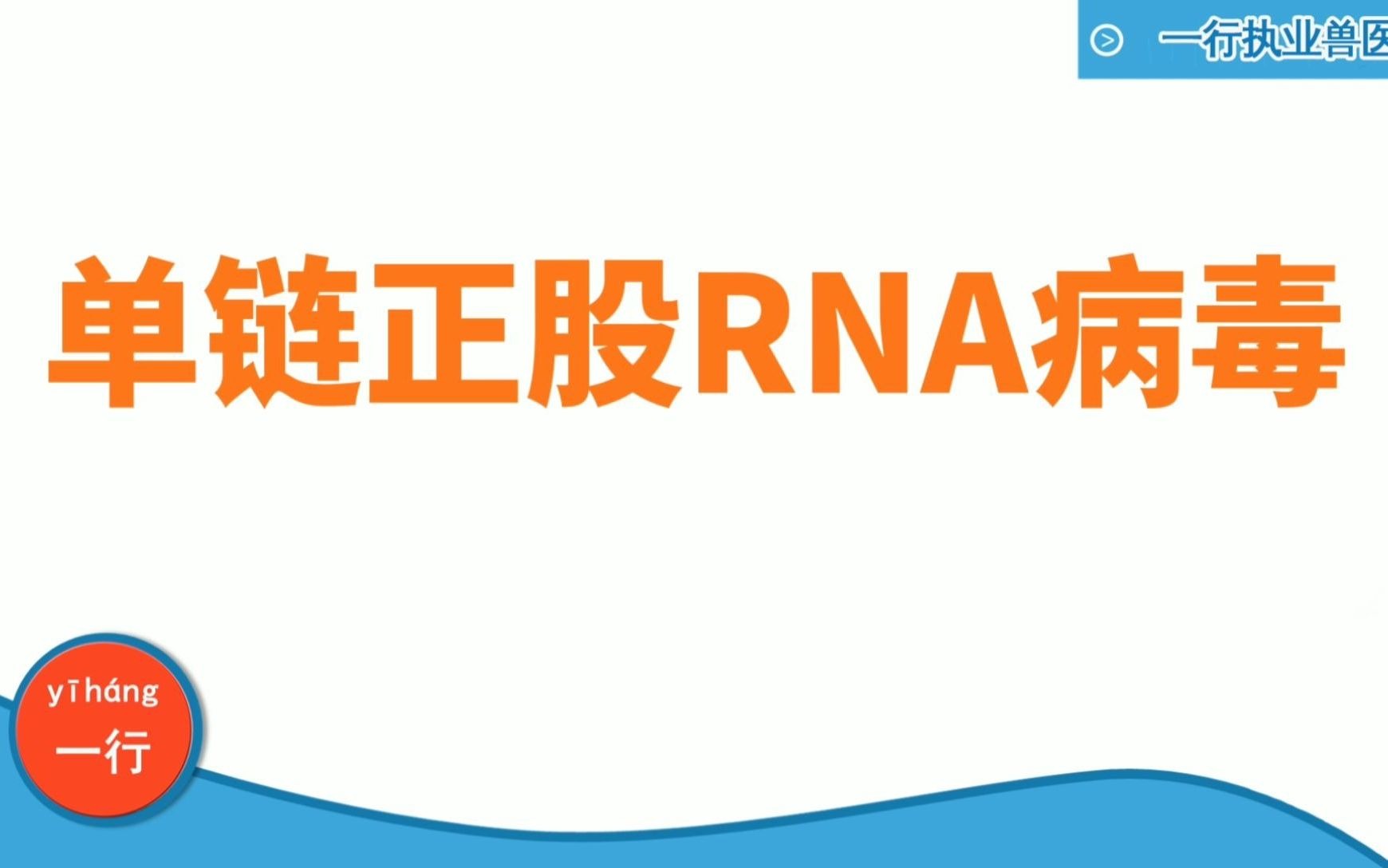 执业兽医资格考试中病毒分类单链正股RNA病毒,有记忆口诀哔哩哔哩bilibili