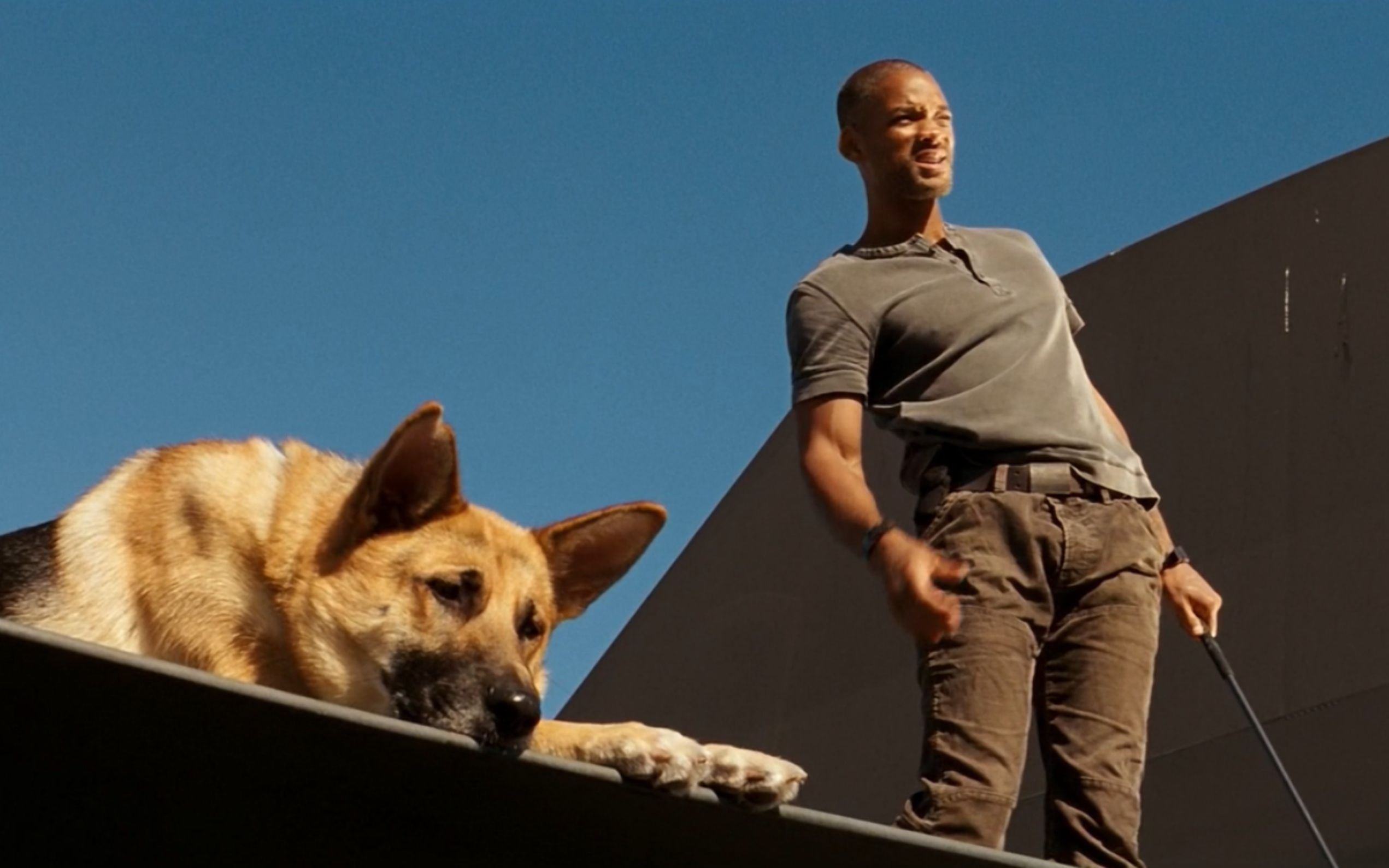 末日丧尸电影《我是传奇》