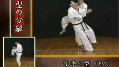 STREETFIGHTKARATE ASHIHARA 1.2.3➕芦原英幸読 芦原会馆-哔哩哔哩_Bilibili
