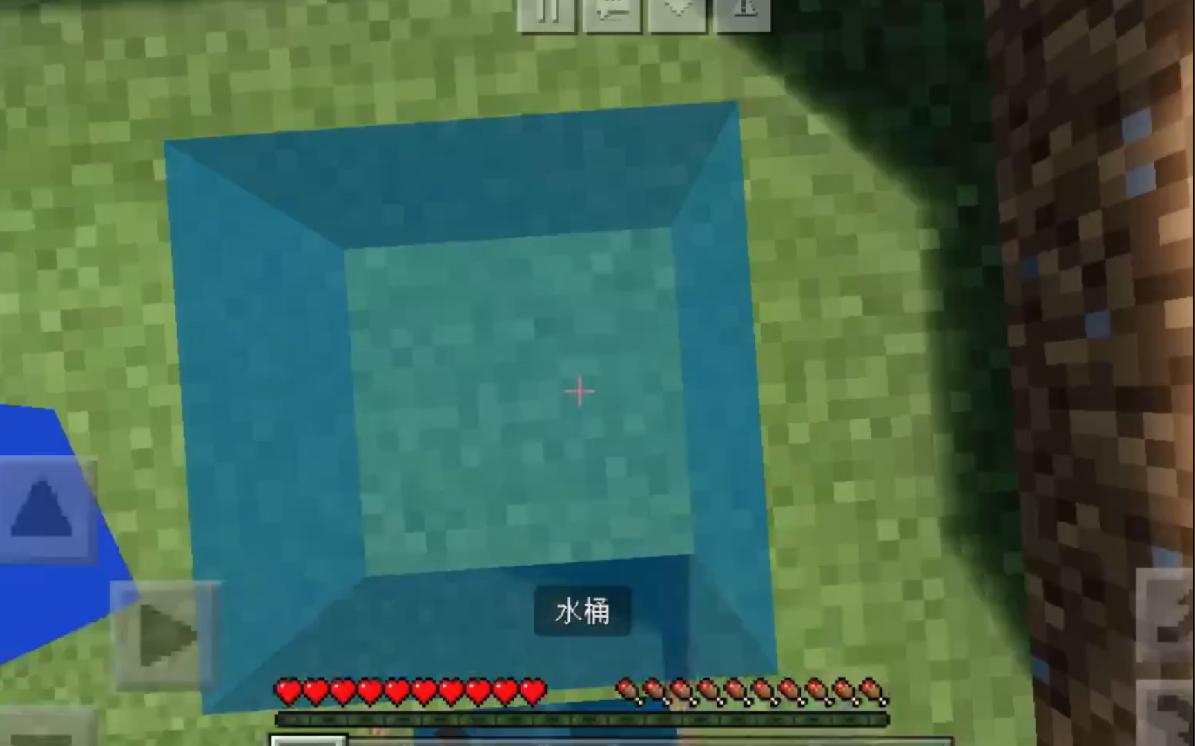 Minecraft 爱的魔力转圈圈 游戏社
