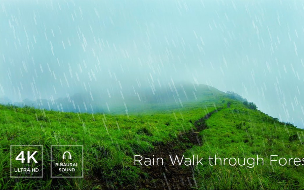 [图]雨中漫步穿过喀拉拉邦的迷雾山脉|放松的双耳雨声适合睡眠| 4K