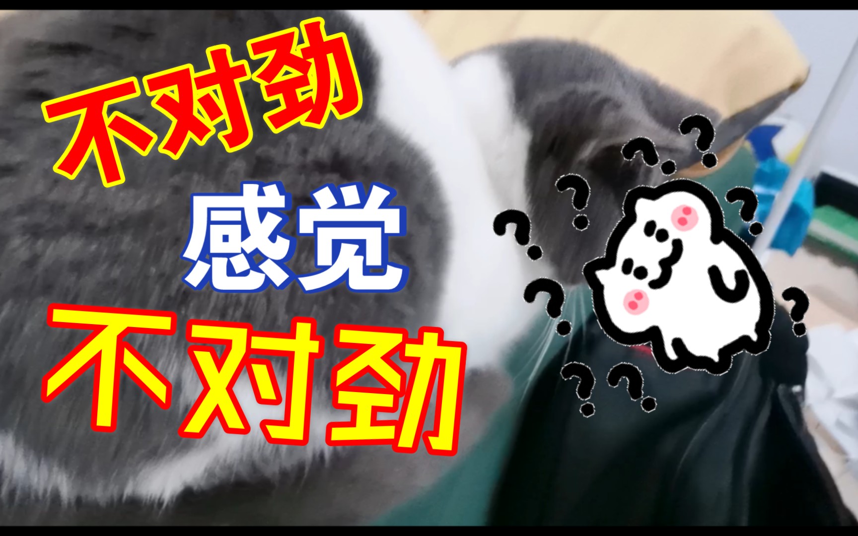 到底哪里不对劲?