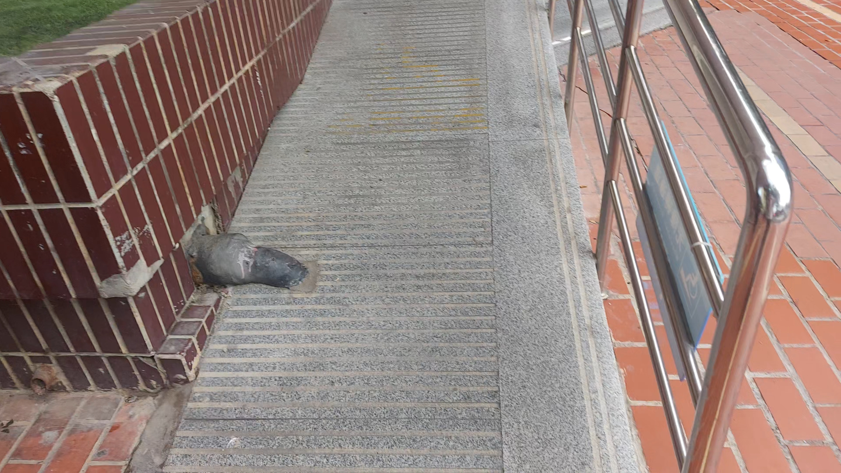 厦门兴业银行(湖滨南路)无障碍坡道步行