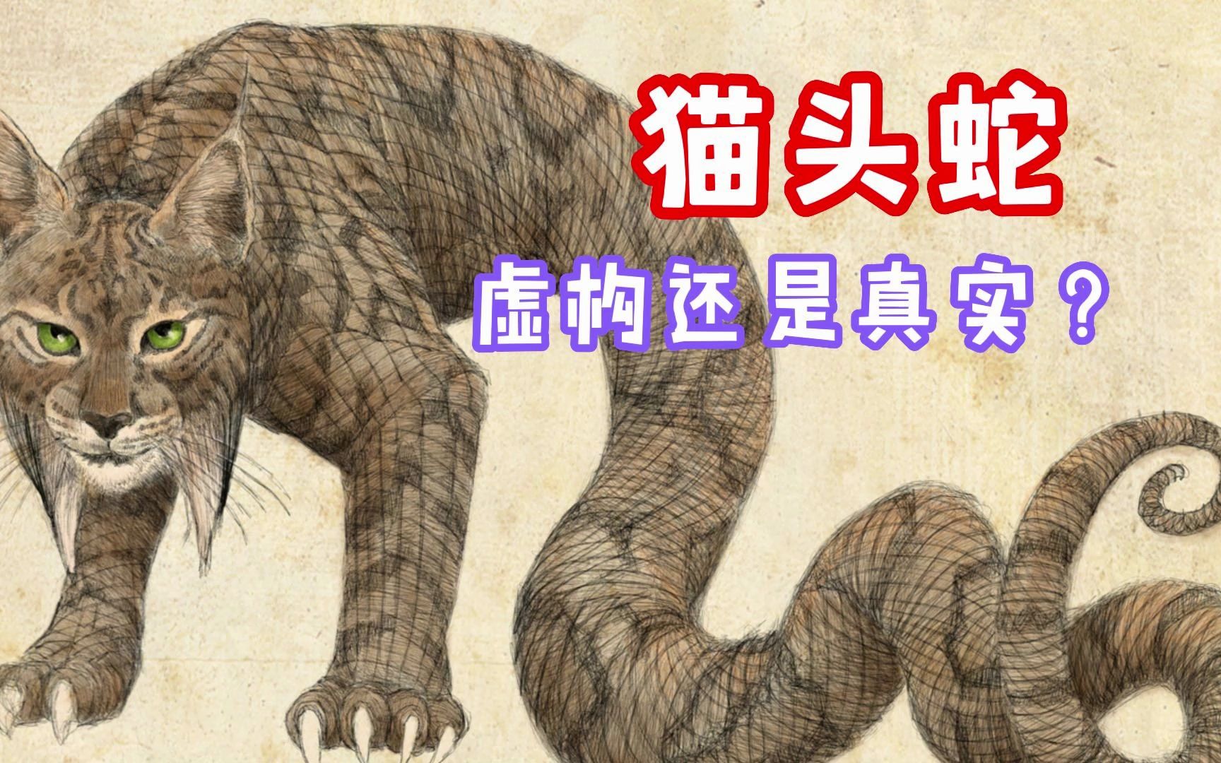 猫头蛇是虚构的还是真实的动物?