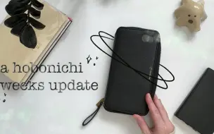 Download Video: lindseyscribbles-欧美超人气博主Hobo weeks mega翻翻看-2023 hobonichi weeks mega update