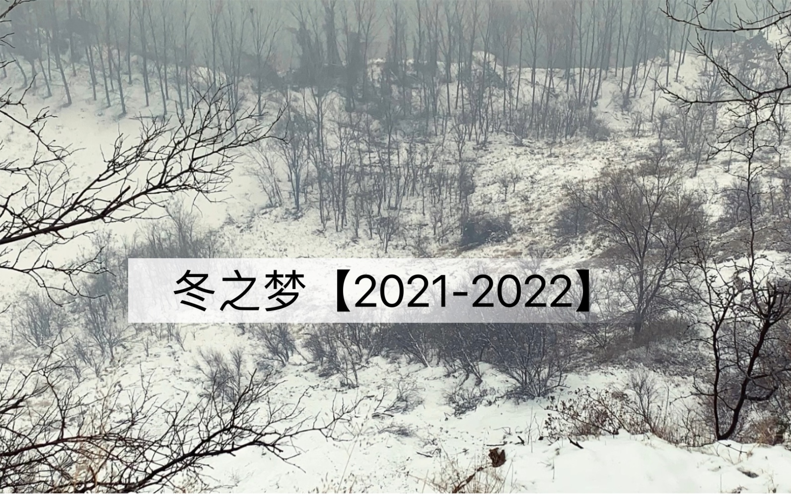 [图]冬之梦【2021-2022】