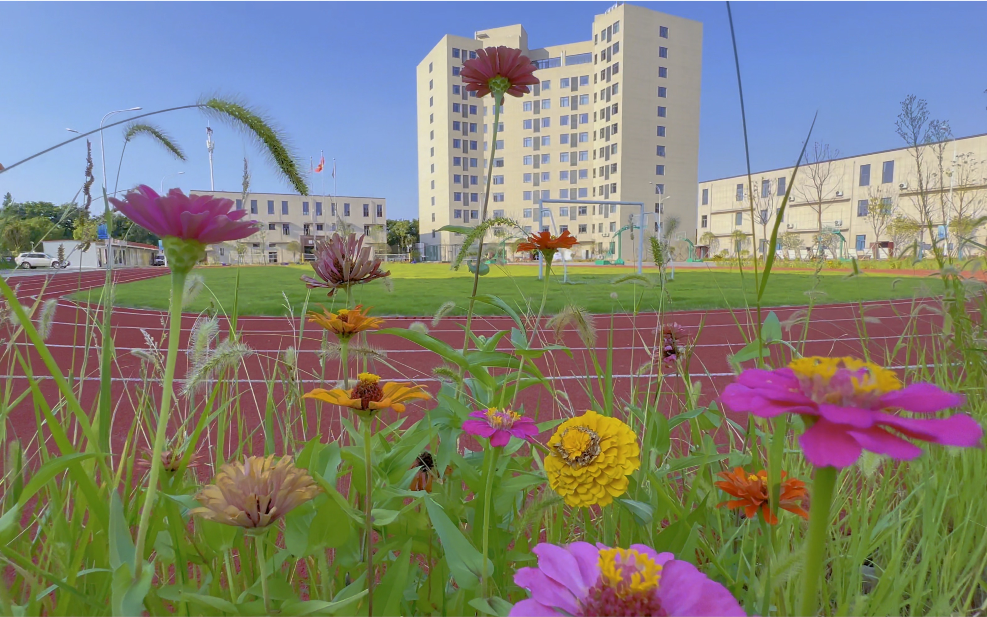 武汉城铁校园花园