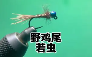 Video herunterladen: 微物路亚 飞钓都可以使用的野鸡尾若虫飞蝇钩绑制过程分享 喜欢钓鱼的朋友点点关注吧