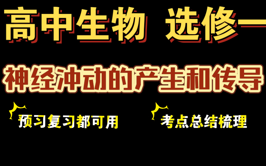 【高中生物新教材】【回归教材】选修一|稳态与调节|神经调节|神经冲动的产生和传导|考点总结|知识梳理哔哩哔哩bilibili