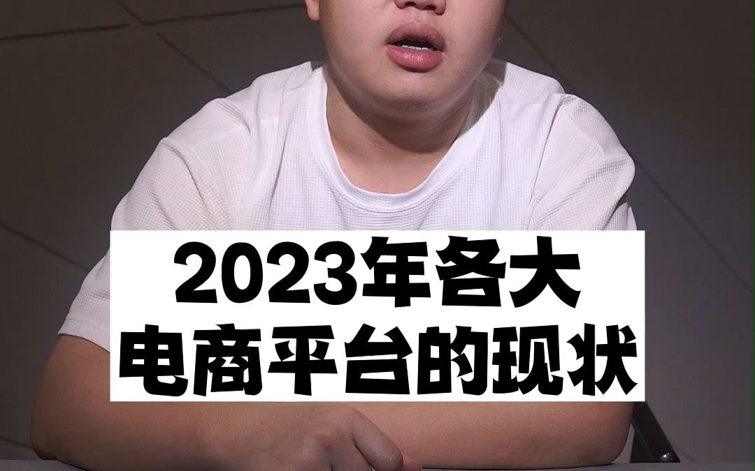 2023年各大电商平台的现状哔哩哔哩bilibili