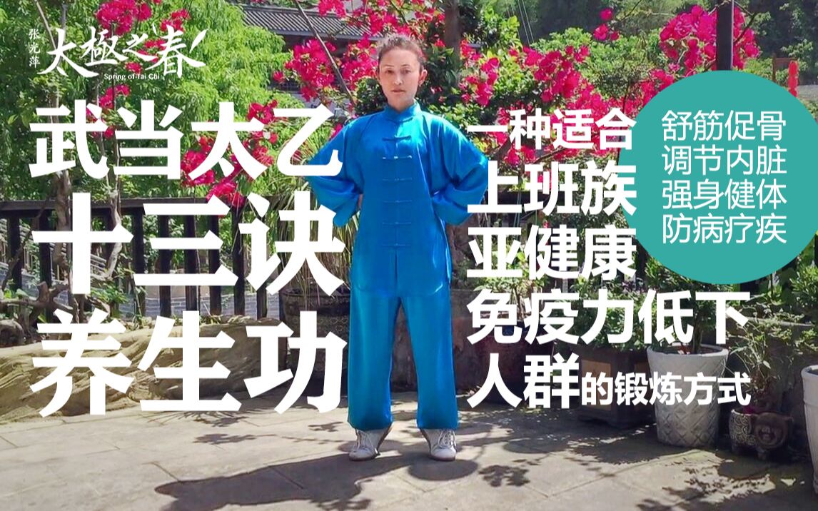 亚健康 免疫力低下人群的锻炼方式——武当太乙十三诀养生功