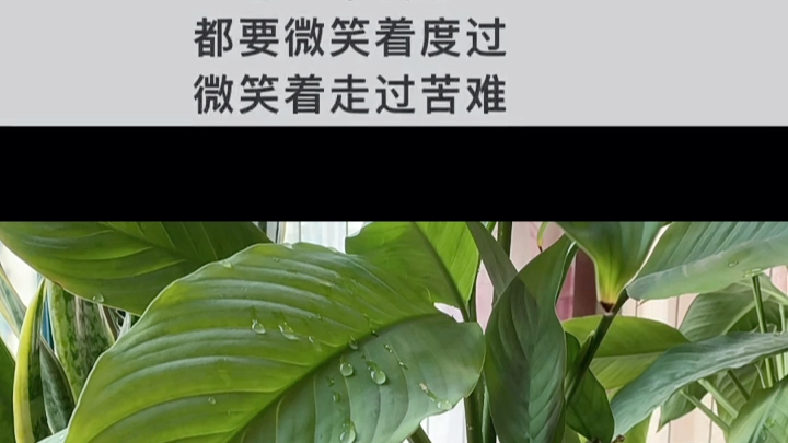 [图]每一天都要微笑着度过