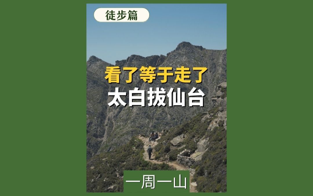 看了就等于走了,每年都得走一走的太白拔仙台.哔哩哔哩bilibili