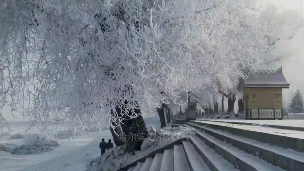 东北抗日联军第7集2厉承先升职中央巡视员