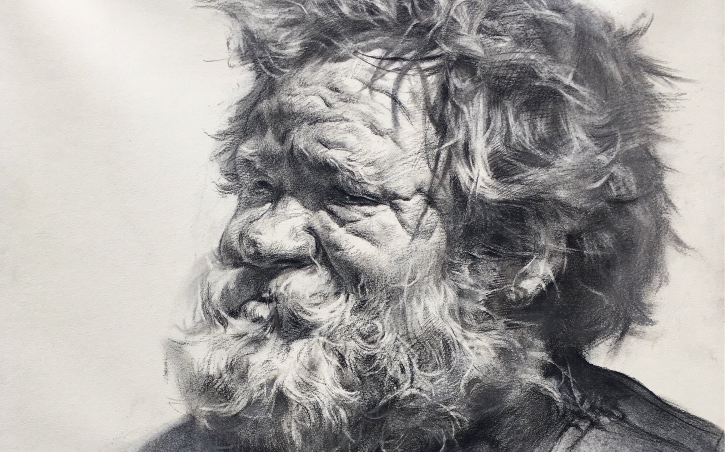 【素描头像】中央美院张婷照片写生