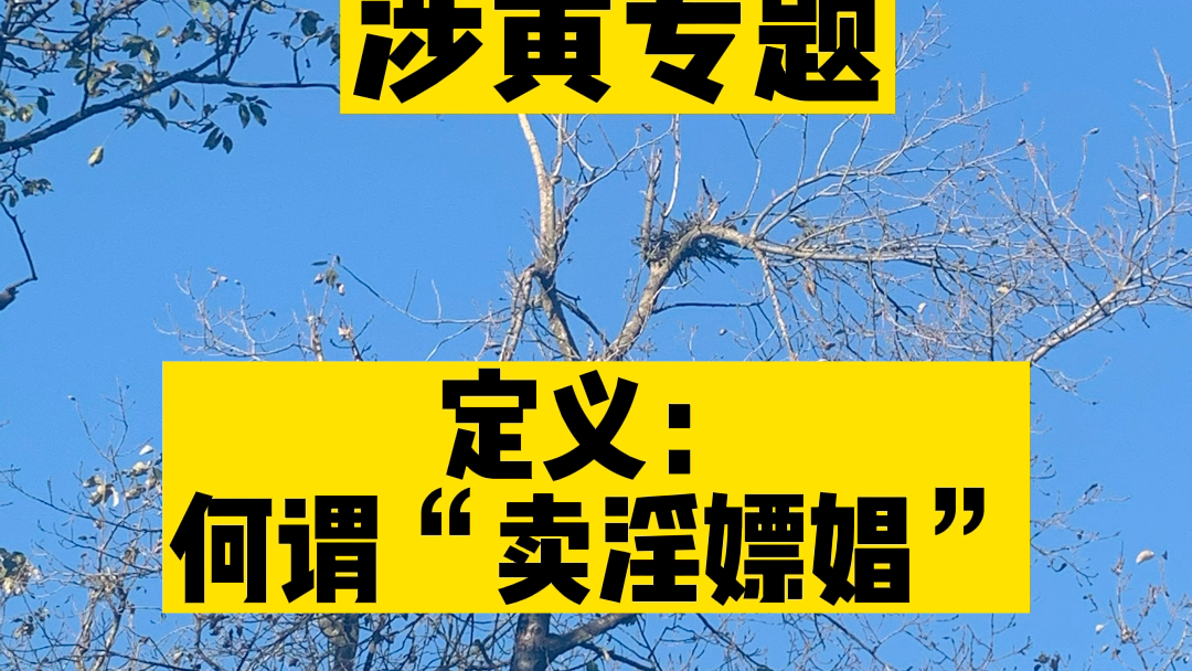 【涉黄专题】定义:卖淫嫖娼?哔哩哔哩bilibili