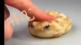 馒头蛙：成精了，单挑天命人
