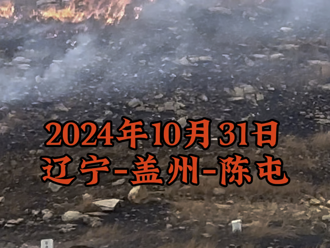 2024年10月31日,辽宁营口盖州发生山火.#山火无情人有情 #火灾现场 #大火无情人间有爱哔哩哔哩bilibili