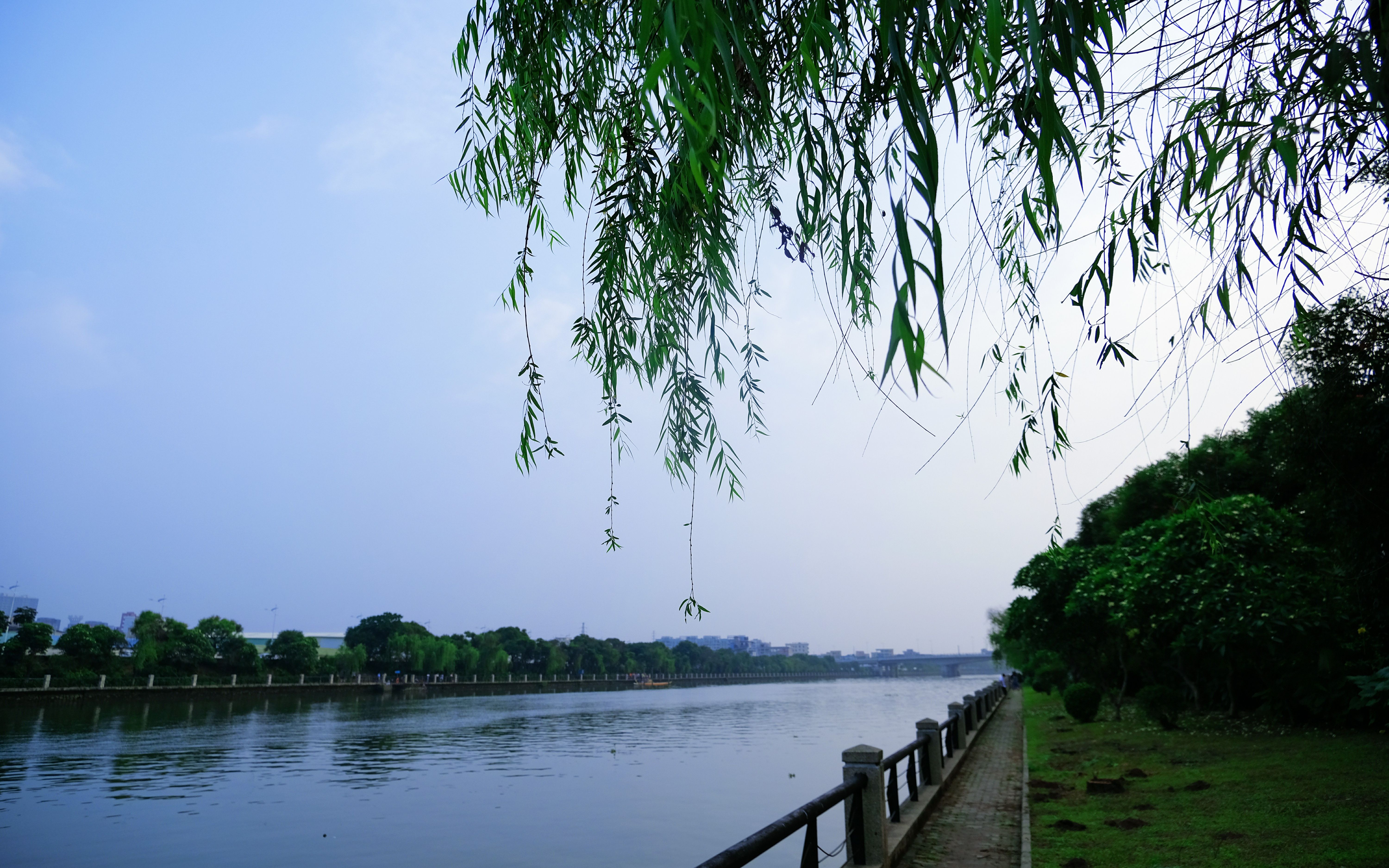 [图]【小清新】夏天的风吹来了，柳絮飘了，时间变慢了。