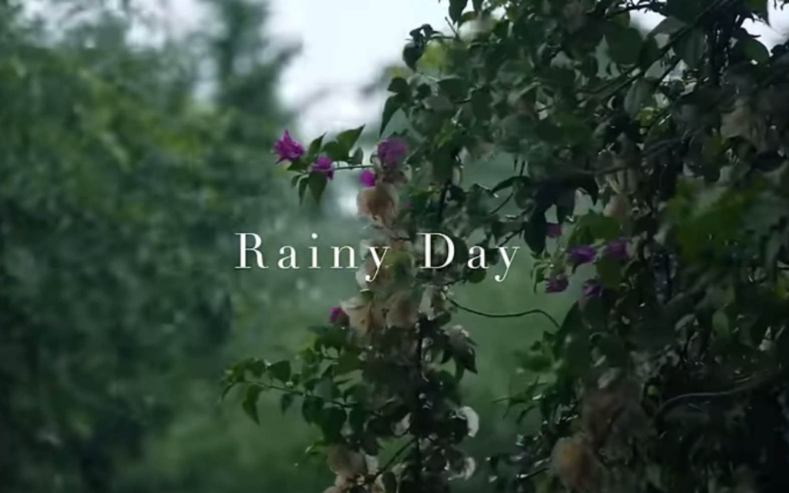 rainyday壁纸图片