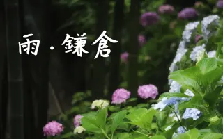 紫陽花の詩 搜索结果 哔哩哔哩 Bilibili