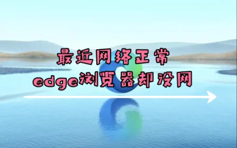 edge浏览器没网,连不上网络,但我的网络正常哔哩哔哩bilibili