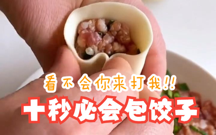 十秒包饺子速成技巧教程𐟥Ÿ超简易包教包会𐟏†哔哩哔哩bilibili