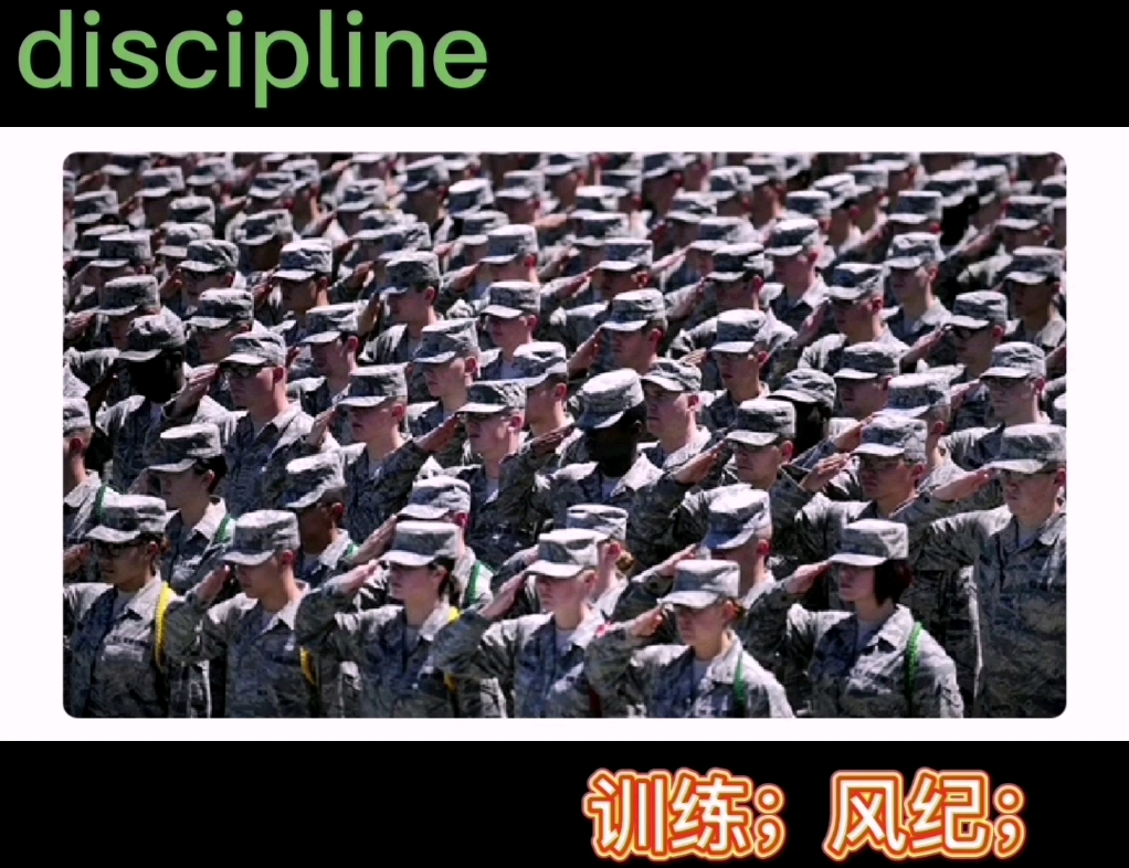 每日一词|discipline 初中/高中/CET4/CET6/考研/IELTS/TOEFL/GMAT哔哩哔哩bilibili