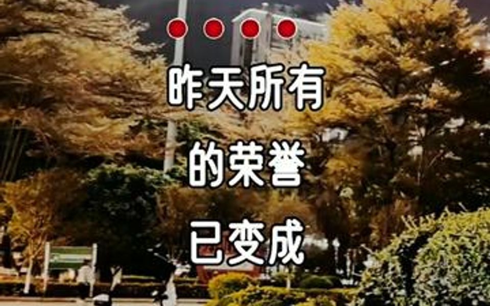 心若在,梦就在,大不了哔哩哔哩bilibili