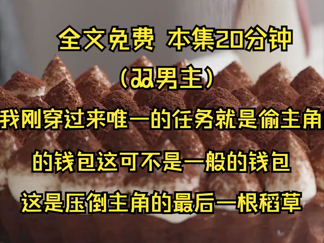 (双男主系列文)我刚穿过来身上一穷二白还是个黑户,唯一的任务就是偷主角的钱包.这可不是一般的钱包,这是压倒主角的最后一根稻草.母亲生病后,...