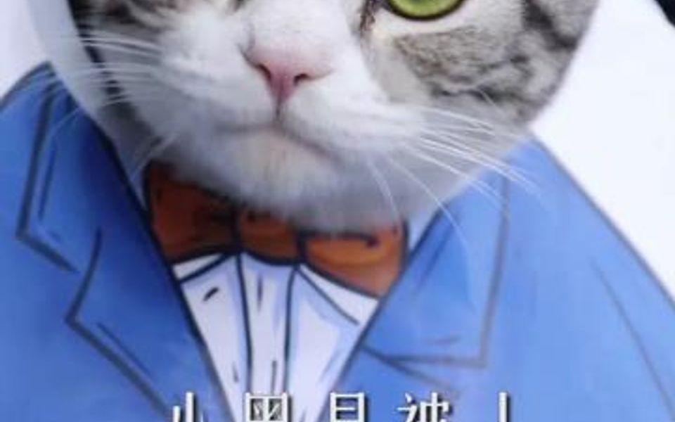 [图]小黑突然不见了，我既没猜到过程，也没猜到结局~