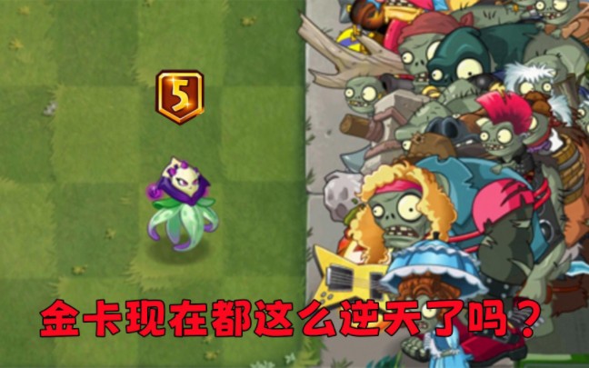 pvz2现在的金卡都这么贵了吗!哔哩哔哩bilibili