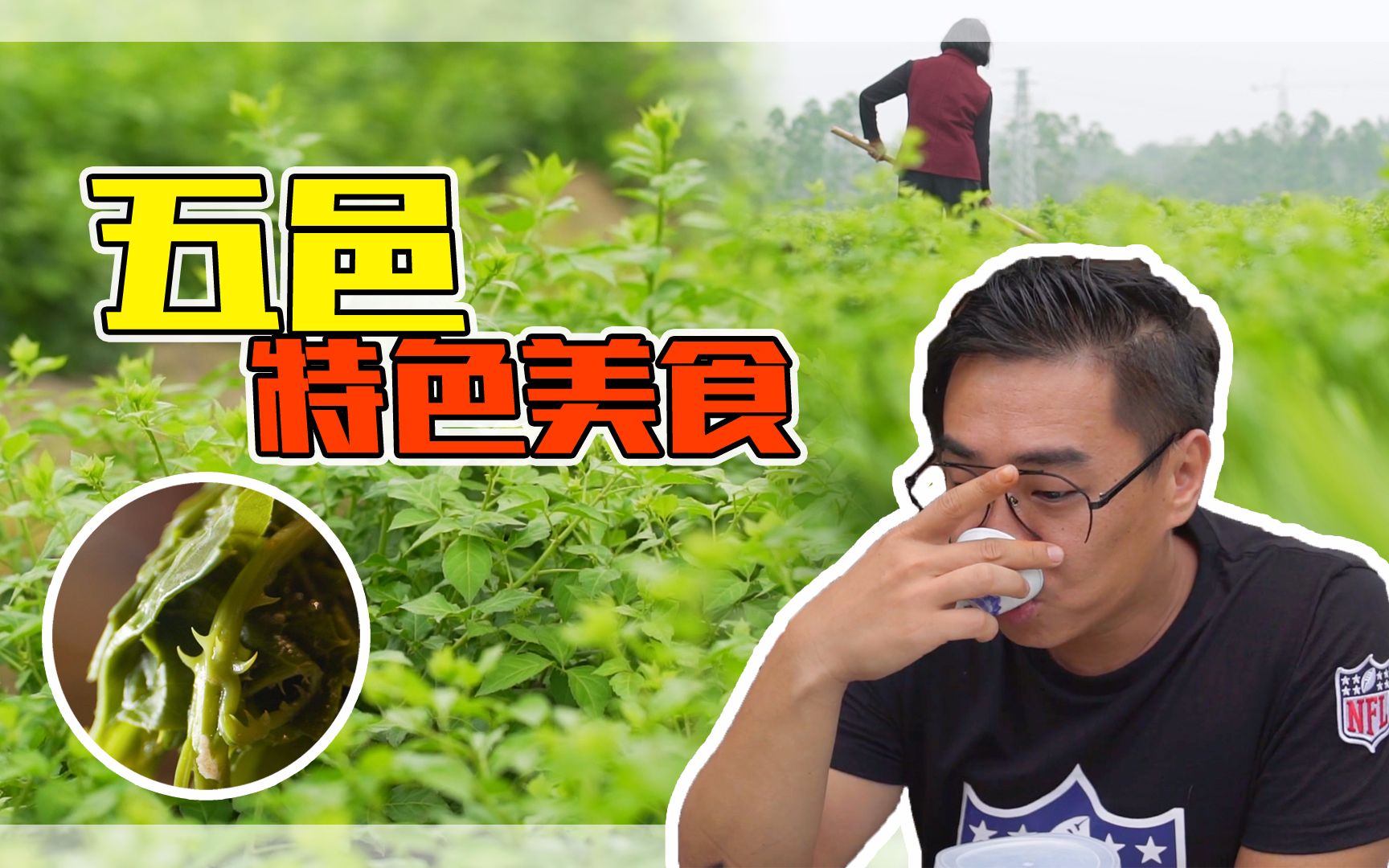 [图]【品城记】寻味︱奇怪！这种带刺的青菜不仅不割喉，反而让喉咙无比的舒适！