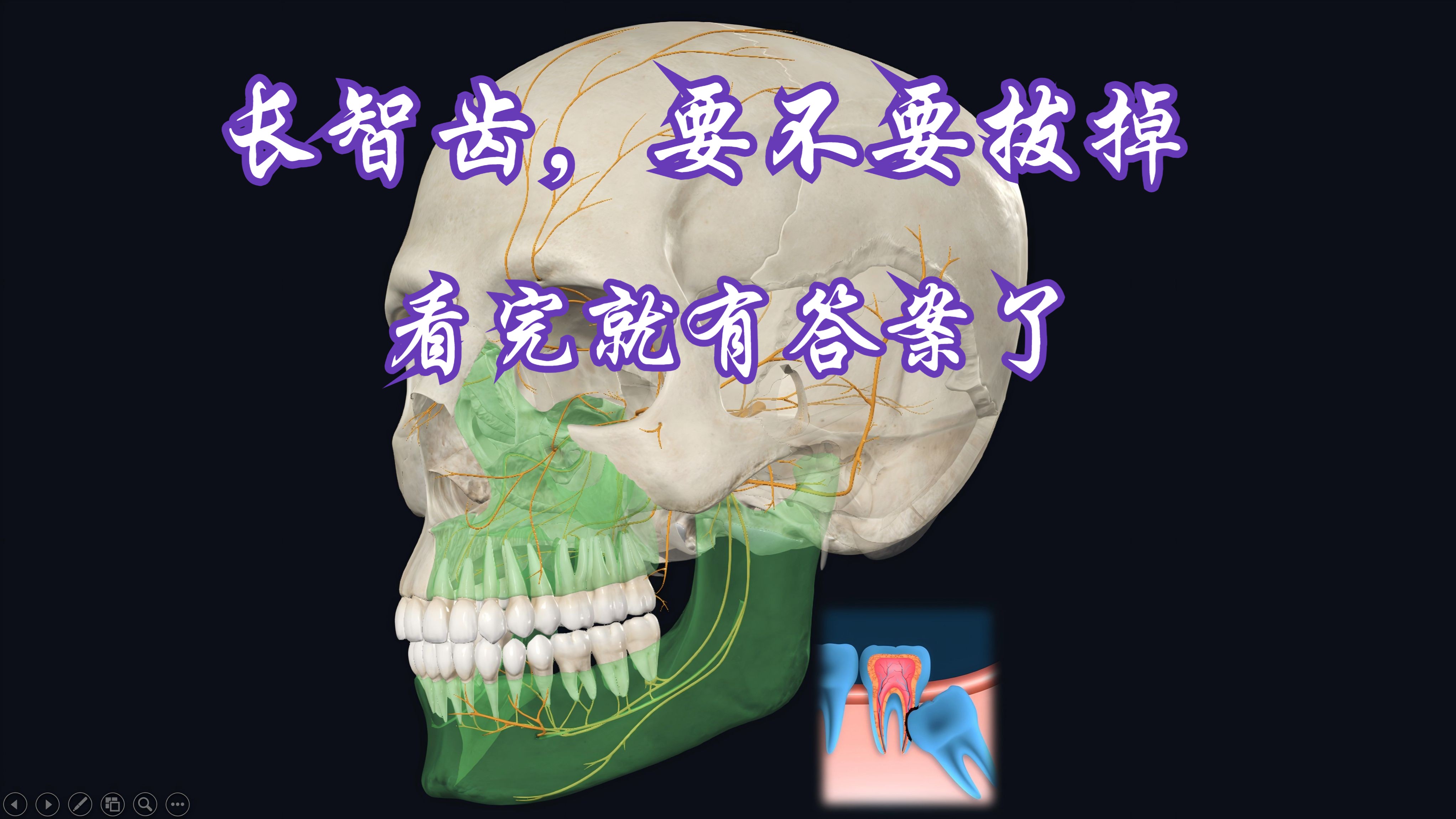 长智齿,要不要拔,看完就会有答案了哔哩哔哩bilibili