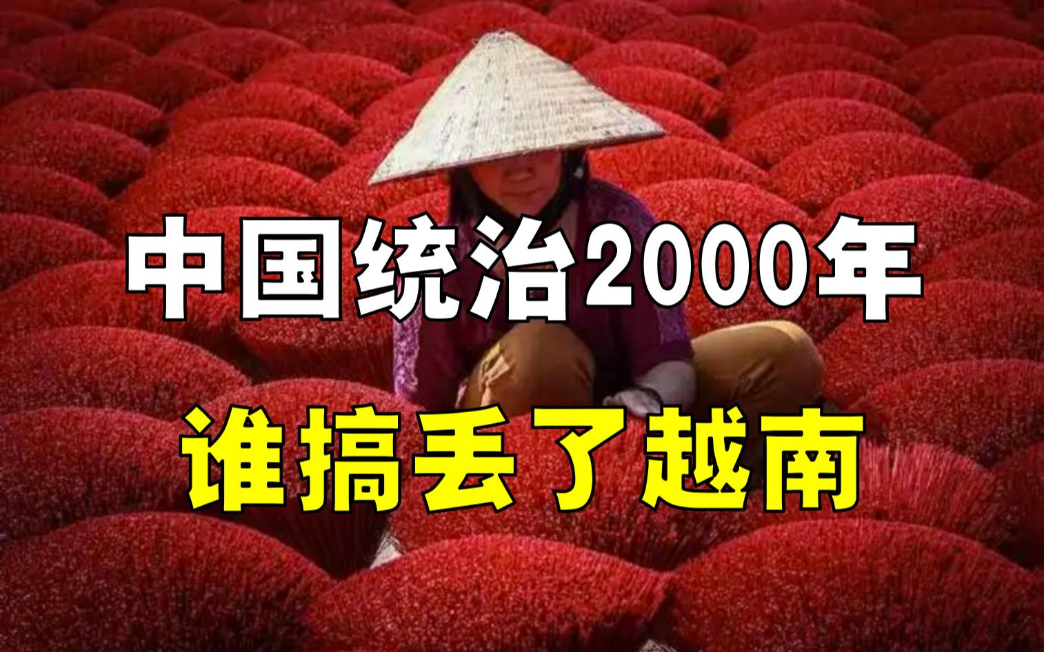 中国统治越南2000年,被谁葬送?哔哩哔哩bilibili