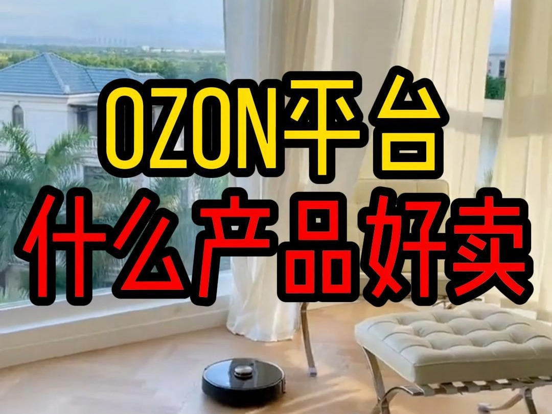 ozon平台做什么产品更容易出单?哔哩哔哩bilibili