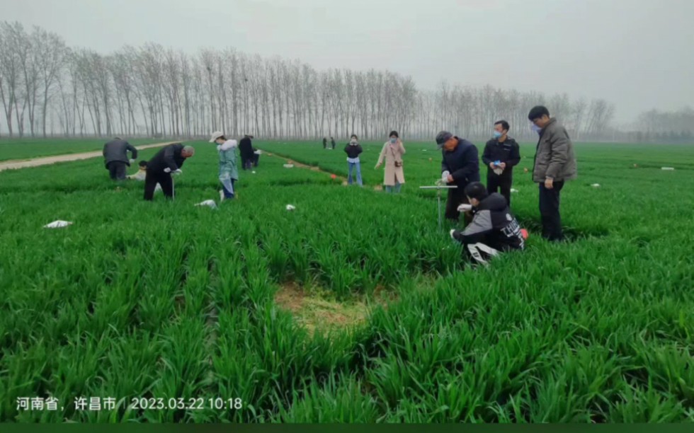 郑大农学儿日常哔哩哔哩bilibili