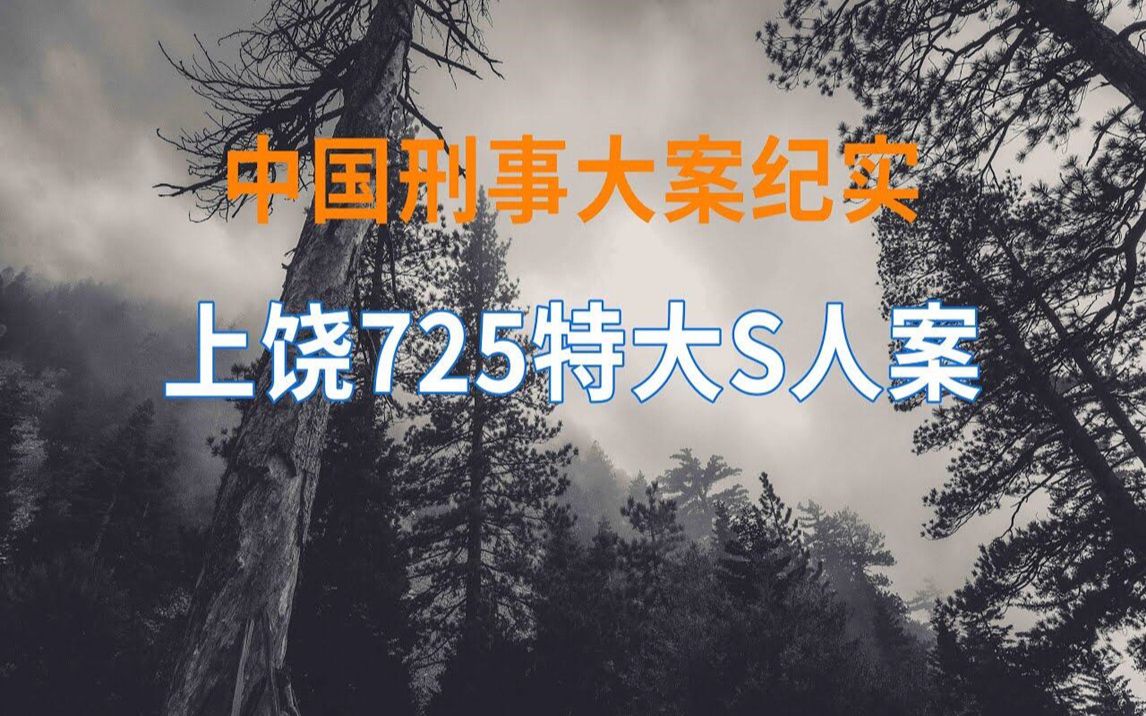 特大刑事案件图片