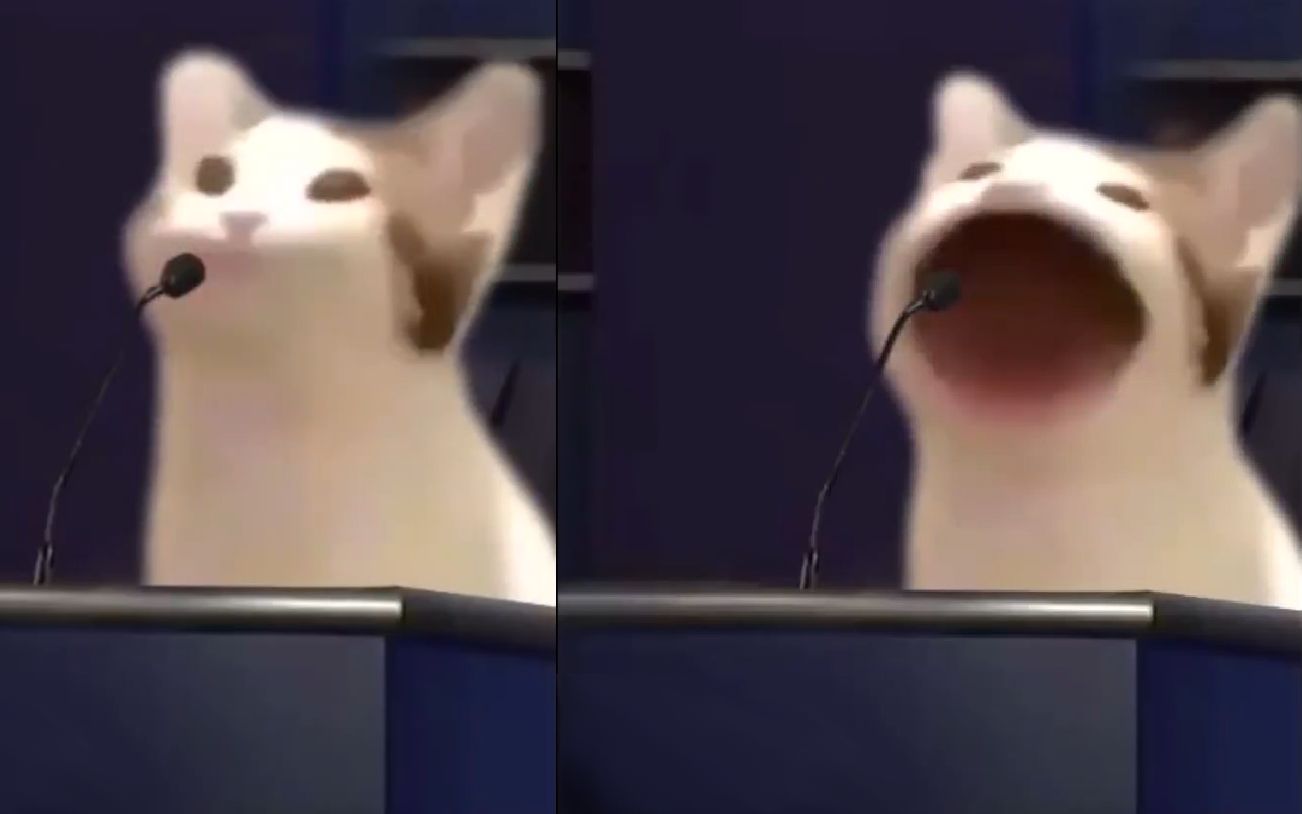 活动作品meme小丑popo猫