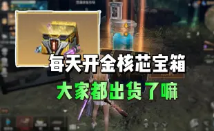 Descargar video: 每天都可开金核芯宝箱，你出货了嘛