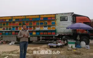 Descargar video: 养蜂车偏蜂怎么办？职业养蜂人用小树枝解决大难题